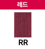 RR (+500원)