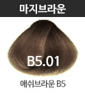 B5.01 애쉬브라운