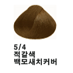 5/4 적갈색