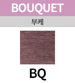 [부케] BQ