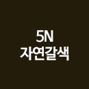 5N 자연갈색