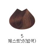 5 체스트넛(밤색)